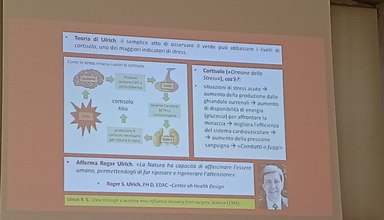 Giornata nazionale dell’albero: la Lombardia celebra i suoi alberi monumentali, custodi di storia e identità