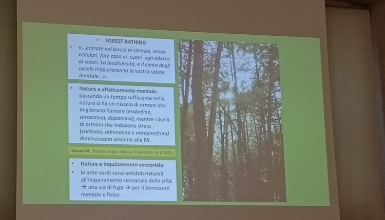 Giornata nazionale dell’albero: la Lombardia celebra i suoi alberi monumentali, custodi di storia e identità