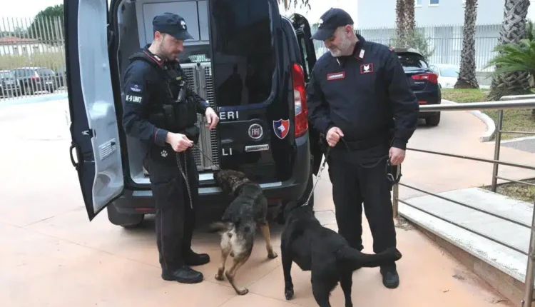 Cremona: sgominata banda di assaltatori di bancomat e aziende, sei arresti.