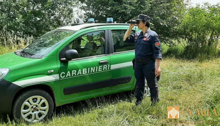 Caivano: control room e arresto differito per reati ambientali.