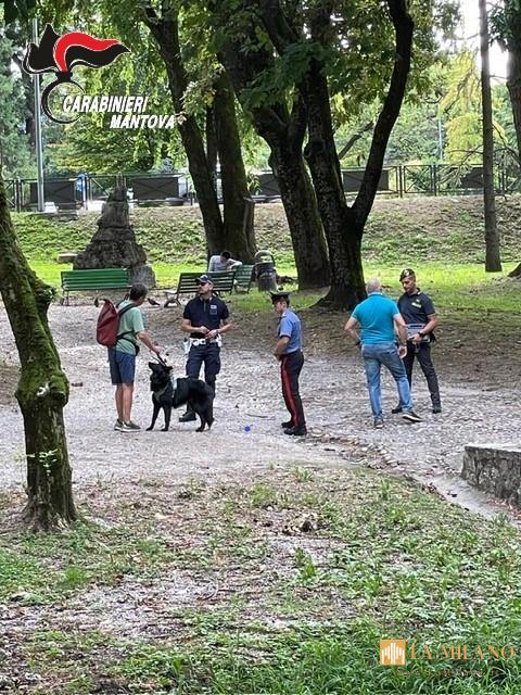 Mantova: controlli coordinati Carabinieri e Finanza nel territorio.