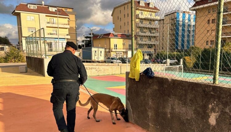 Catanzaro, il fiuto di Batik smaschera droga nel parco “Mater Domini”: controlli dei Carabinieri anche in bar e ristoranti