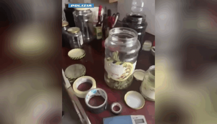 Casarano: coltivava marijuana in casa, denunciato 36enne dalla Polizia di Stato