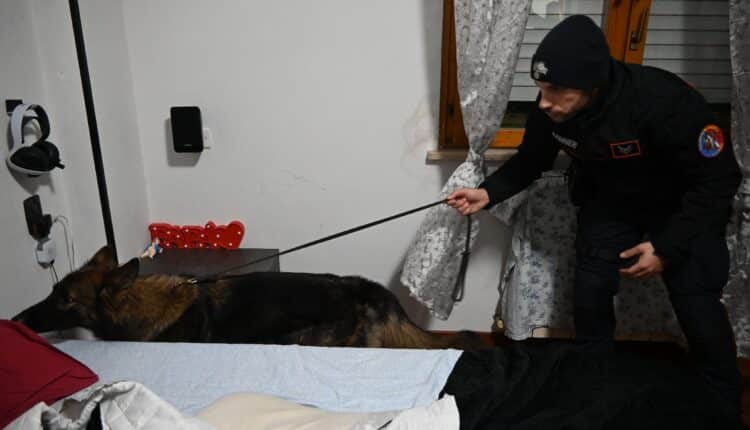 Pescara, smantellato maxi “supermercato della cocaina”: 15 misure cautelari contro due famiglie dello spaccio