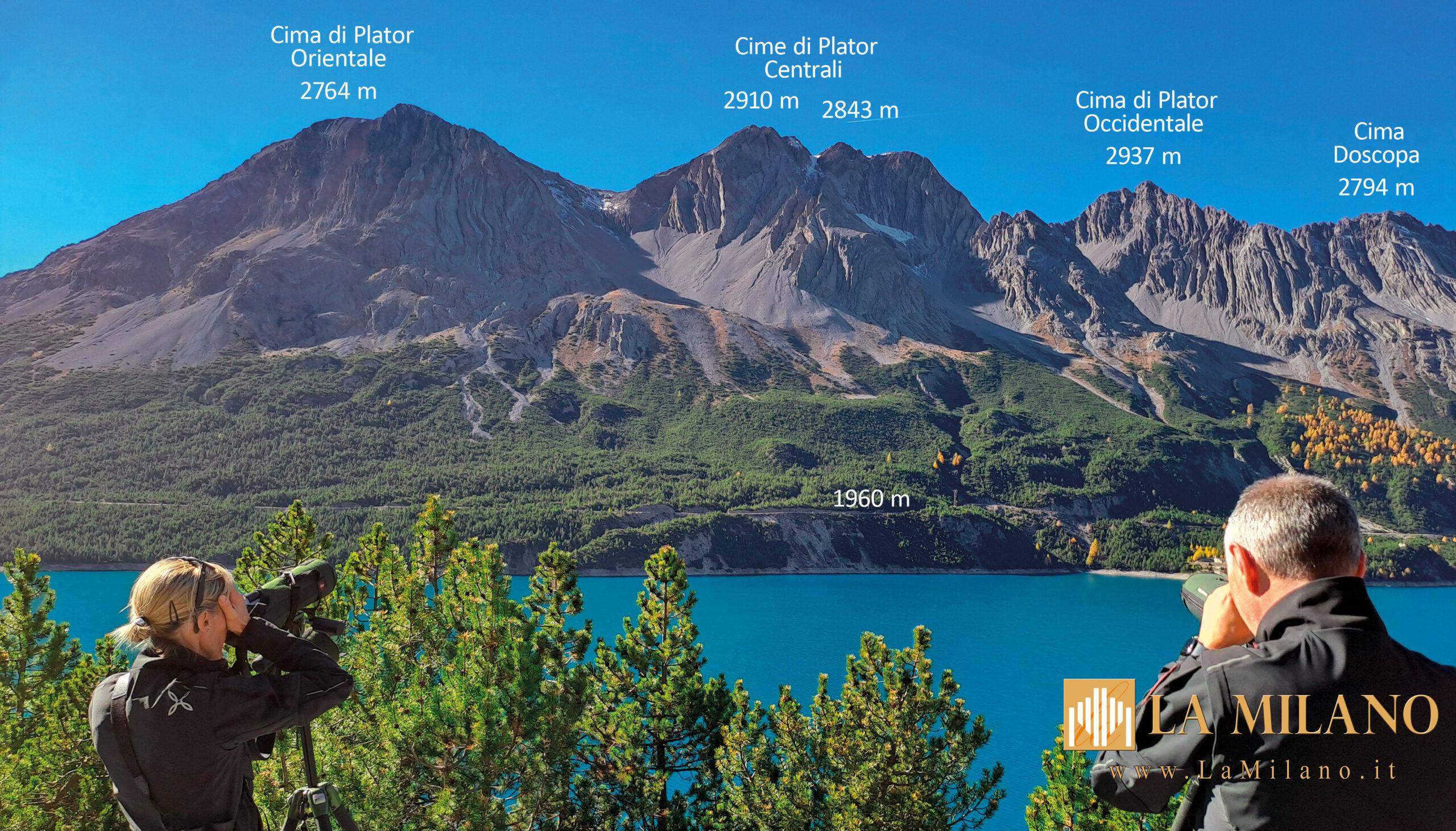 Nelle Alpi lombarde la “valle dei dinosauri”: scoperto uno dei più grandi giacimenti di orme del Triassico al mondo.