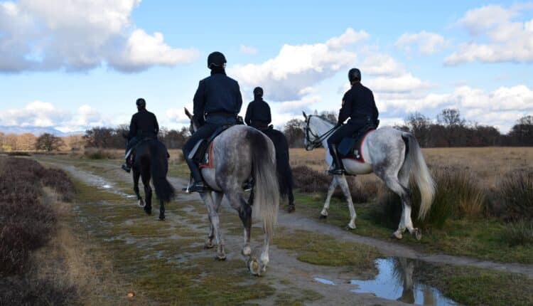 Biella, Carabinieri a cavallo contro lo spaccio nei boschi: scoperti bivacchi e flusso di clienti in calo