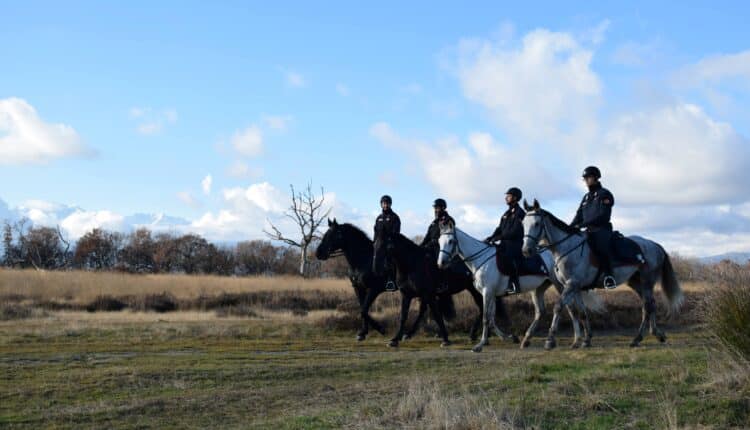 Biella, Carabinieri a cavallo contro lo spaccio nei boschi: scoperti bivacchi e flusso di clienti in calo