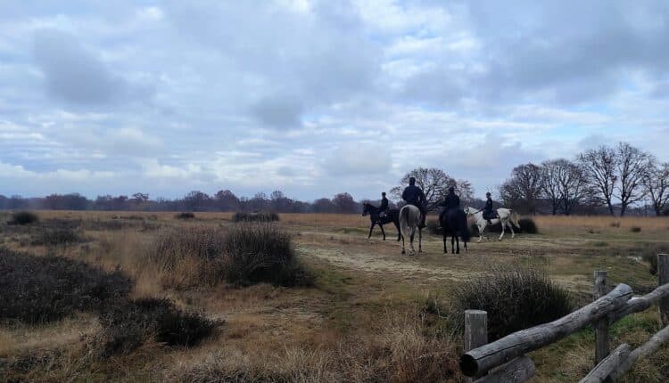 Biella, Carabinieri a cavallo contro lo spaccio nei boschi: scoperti bivacchi e flusso di clienti in calo