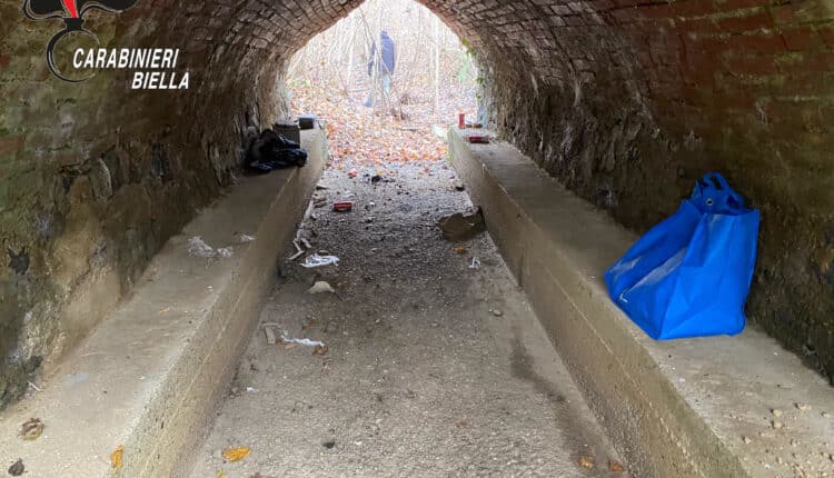 Biella, Carabinieri a cavallo contro lo spaccio nei boschi: scoperti bivacchi e flusso di clienti in calo