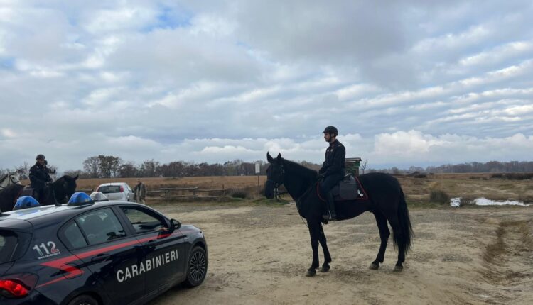 Biella, Carabinieri a cavallo contro lo spaccio nei boschi: scoperti bivacchi e flusso di clienti in calo
