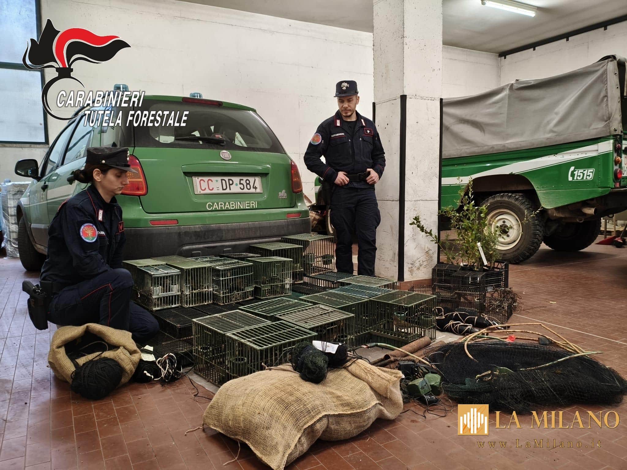 Valle Sabbia, scoperto un sofisticato sistema di uccellagione: maxi sequestro dei Carabinieri Forestali