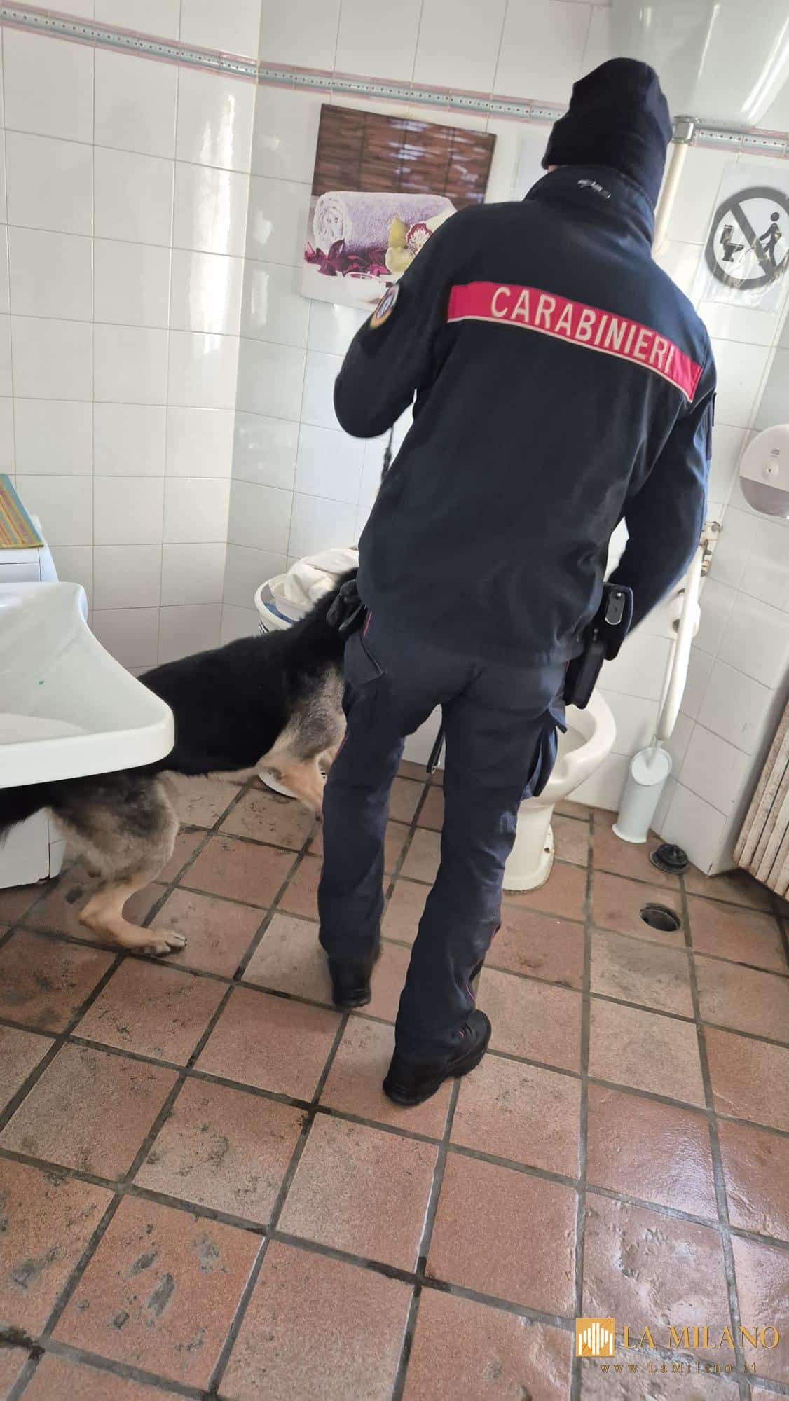 Controlli straordinari nel fine settimana: droga, armi e irregolarità commerciali, interventi dei Carabinieri nel Cassinate.