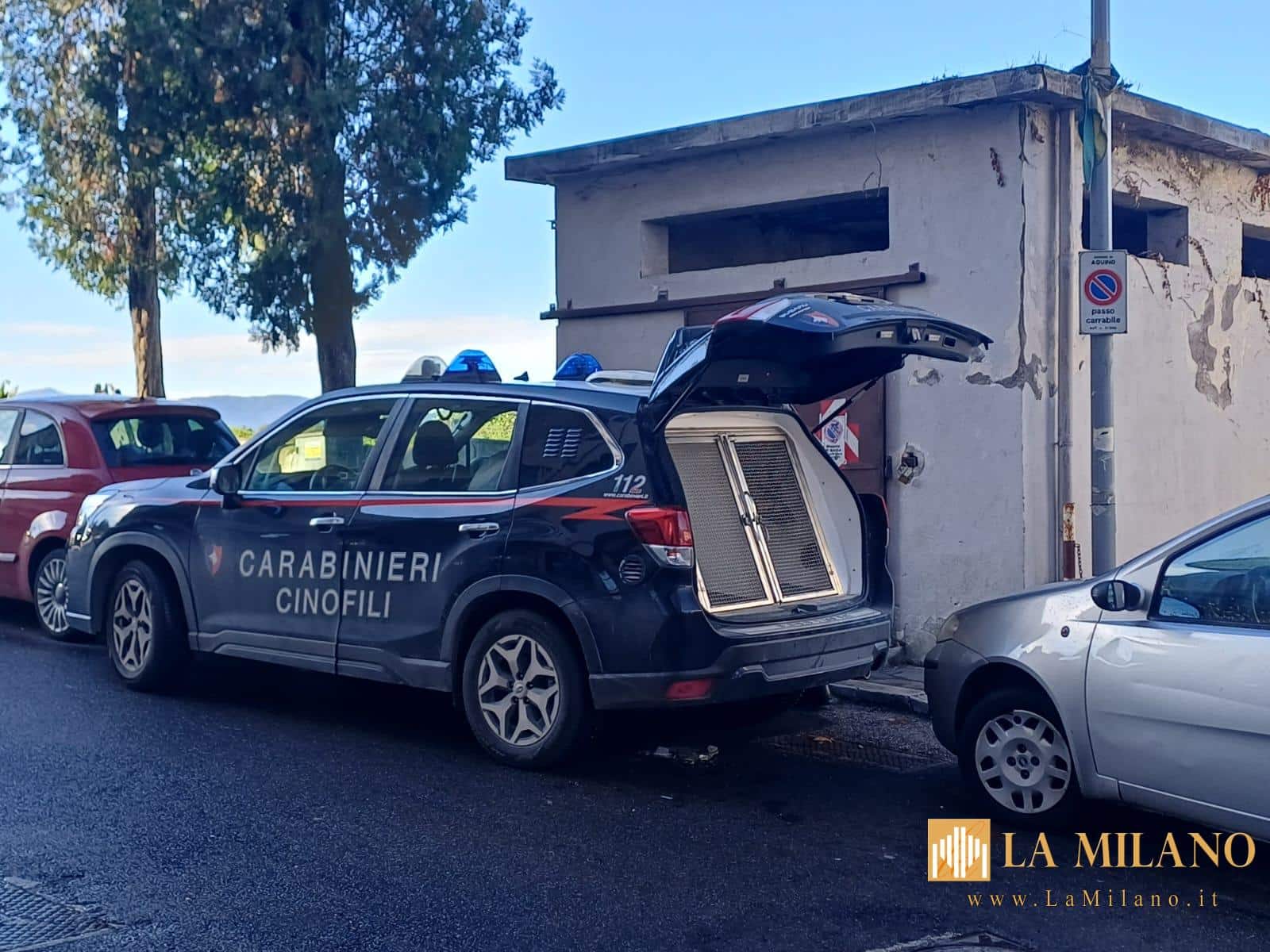 Controlli straordinari nel fine settimana: droga, armi e irregolarità commerciali, interventi dei Carabinieri nel Cassinate.