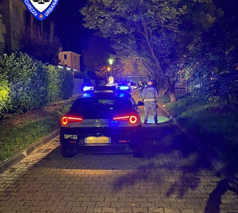 Vicenza, sei mesi di controlli contro spaccio e degrado: 95 operazioni antidroga e oltre 1.300 dosi sequestrate