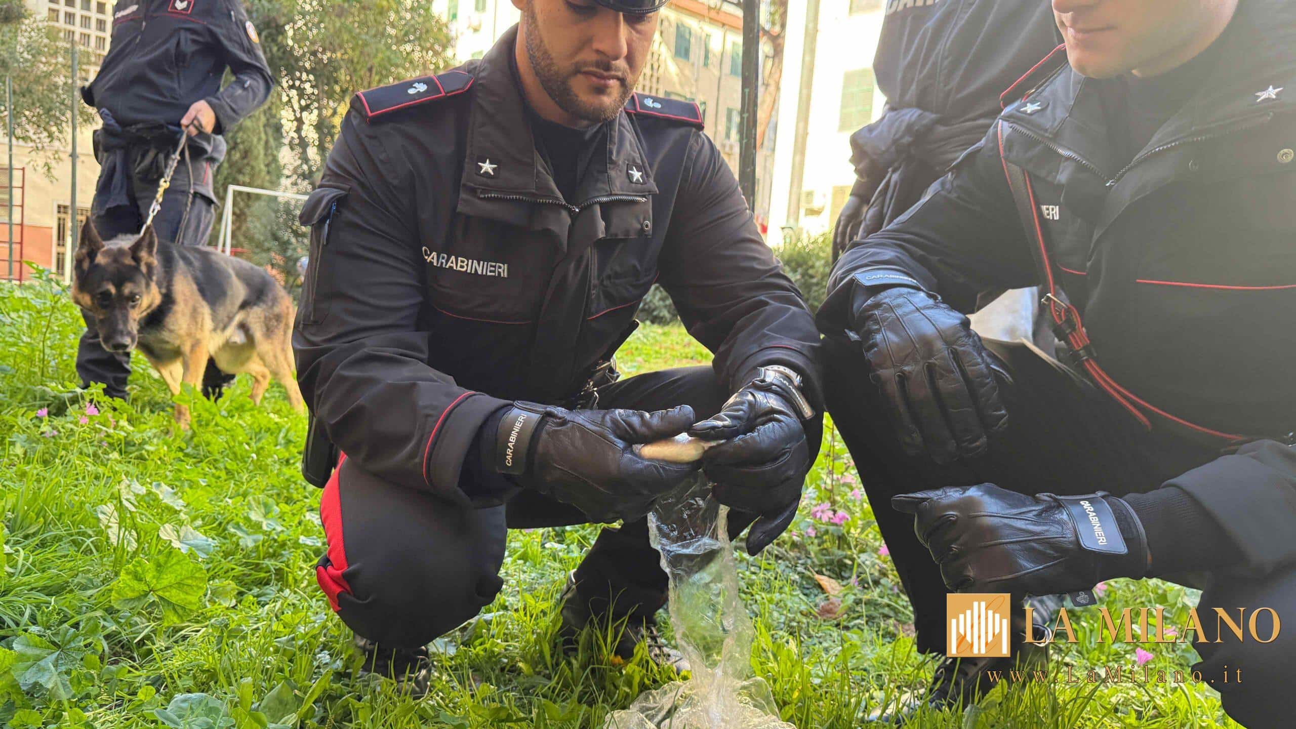Roma, maxi operazione antidroga al Quarticciolo: 11 arresti, sequestrate oltre 1.100 dosi di crack e cocaina