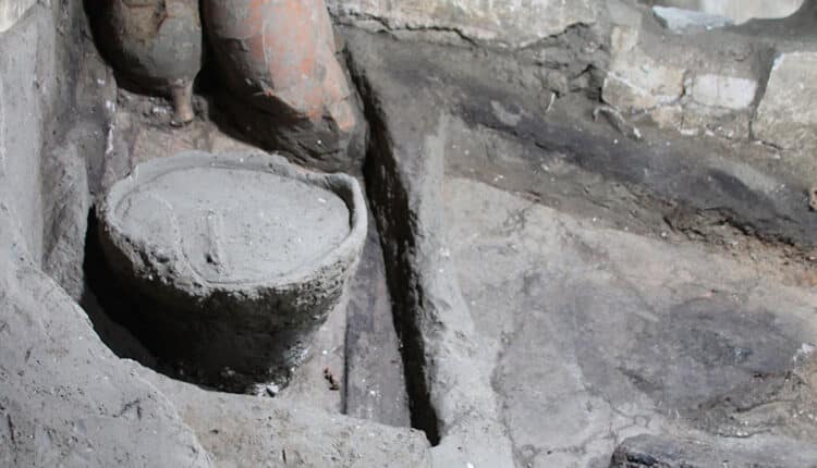 Pompei, nuove scoperte a Civita Giuliana: gli schiavi meglio nutriti dei “liberi”. Ritrovate fave, frutta e oggetti del lavoro servile
