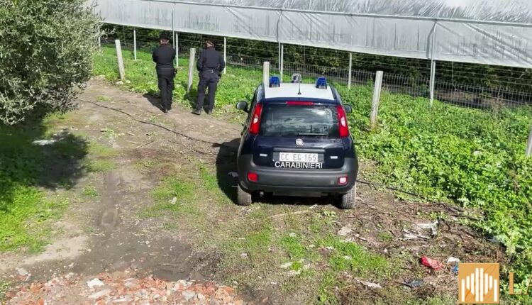 San Luca: serre abusive in area protetta, quattro denunce.