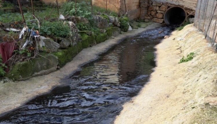 Scarichi illeciti nel Palermitano: tre oleifici sotto accusa. Il Corpo Forestale salva il fiume Eleuterio dall’inquinamento