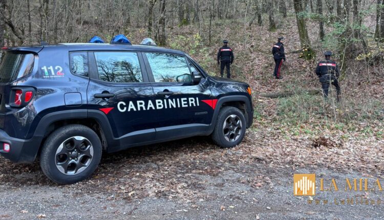 Monteriggioni: operazione nel bosco, due denunciati per spaccio.