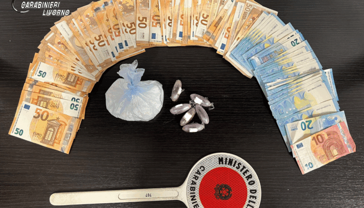 Livorno, controlli sul territorio: sanzioni per caccia illegale e arresto per traffico di droga