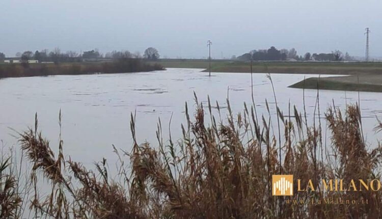Maltempo in Emilia-Romagna: massima allerta sul Senio nel Ravennate, evacuazioni precauzionali in cinque Comuni