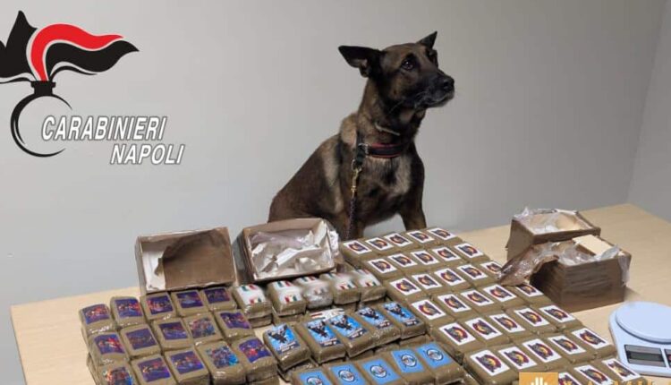 Napoli: a Scampia droga e appartamento popolare abusivo.