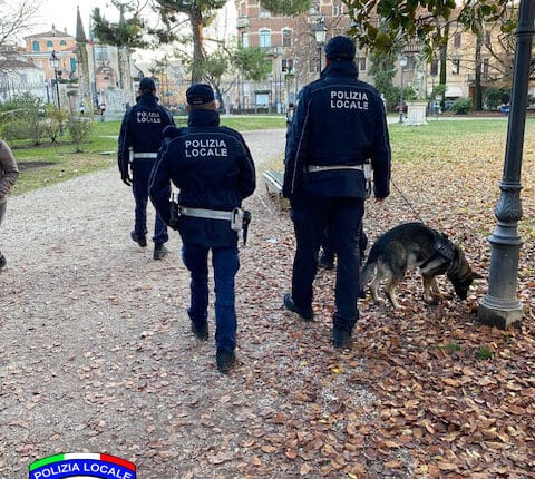 Vicenza, sei mesi di controlli contro spaccio e degrado: 95 operazioni antidroga e oltre 1.300 dosi sequestrate