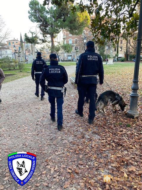 Vicenza, sei mesi di controlli contro spaccio e degrado: 95 operazioni antidroga e oltre 1.300 dosi sequestrate