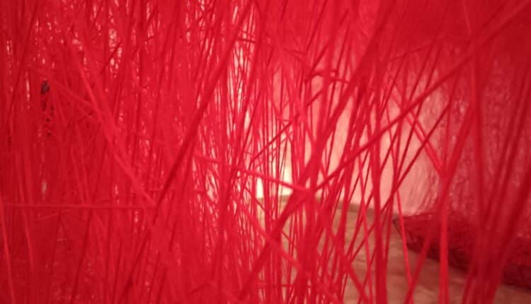 Il MAO Museo d’Arte Orientale di Torino presenta “Chiharu Shiota: The Soul Trembles”, una delle più grandi e importanti esposizioni monografiche dedicate all’artista giapponese. Curata da Mami Kataoka, direttrice del Mori Art Museum e ideatrice del progetto originale, insieme a Davide Quadrio, direttore del MAO, la mostra arriva in anteprima nazionale e, per la prima volta in assoluto, in un museo di arte asiatica italiano, dopo un tour internazionale in istituzioni prestigiose come il Grand Palais di Parigi, il Busan Museum of Art, il Long Museum West Bund di Shanghai, la Queensland Art Gallery di Brisbane e lo Shenzhen Art Museum. Un progetto imponente e poetico, che ripercorre l’intera carriera di Shiota attraverso disegni, fotografie, sculture e alcune delle sue più celebri e suggestive installazioni ambientali, celebri in tutto il mondo per la loro capacità di avvolgere, sospendere e trasformare lo spazio. Un viaggio immersivo tra fili, memorie e domande universali Il percorso espositivo si configura come una grande installazione diffusa, che si espande dalle sale temporanee alle gallerie permanenti del museo, creando un dialogo sensibile con le collezioni asiatiche del MAO. Le opere di Chiharu Shiota affrontano temi come memoria, identità, relazione con l’altro, tempo, assenza, vita e morte, esplorando l’intangibile attraverso trame visive di straordinaria forza emotiva. I celebri fili rossi o neri, intrecciati in grandi strutture spaziali, diventano metafora di legami, fragilità e tensioni interiori. Tra le opere più iconiche presenti in mostra: Where Are We Going? (2017) – il motivo della barca, ricorrente nella poetica di Shiota, evoca destini incerti e futuri in divenire. Uncertain Journey (2016) – scheletri di imbarcazioni immerse in una rete di fili rossi, simbolo degli incontri e delle traiettorie che costellano ogni percorso umano. In Silence (2008) – un pianoforte bruciato e sedute per un pubblico fantasma avvolti da fili neri: il silenzio dopo la distruzione. Reflection of Space and Time (2018) – un abito e la sua immagine riflessa che interrogano la presenza nell’assenza. Inside – Outside (2009) – un’opera sul confine tra interno ed esterno, privato e pubblico, Oriente e Occidente. Accumulation – Searching for the Destination (2021) – una monumentale installazione composta da centinaia di valigie oscillanti, simbolo di viaggio, memoria, migrazione. Le voci dei curatori: un dialogo tra esistenza e collezioni asiatiche “Siamo stati portati a riflettere sulla vita, sulla morte e sulla natura dell’esistenza,” afferma Mami Kataoka, ricordando come la mostra, inaugurata nel 2019 a Tokyo, abbia attraversato anni segnati dalla pandemia e da conflitti globali. Per Davide Quadrio, la mostra segna un passo importante nella trasformazione del MAO: “Da museo di arte antica a luogo del contemporaneo, di cura e di tempo lento.” Le installazioni di Shiota, monumentali e intime allo stesso tempo, trasformano il museo in un organismo vivo, in continua evoluzione. Public Programme, attività educative e catalogo bilingue Come tutte le grandi produzioni del MAO, anche “The Soul Trembles” sarà accompagnata da: public programme musicale e performativo proiezioni, incontri e conferenze laboratori per scuole, famiglie e adulti percorsi accessibili in International Signs, grazie alla collaborazione con l’Istituto dei Sordi di Torino La mostra è inoltre accompagnata da un catalogo bilingue italiano-inglese edito da Silvana Editoriale, con testi di Kataoka e Quadrio e contributi di studiosi internazionali. Un nuovo capitolo: un’opera inedita al MUDEC di Milano Dal 19 novembre 2025, un’opera inedita di Chiharu Shiota, The Moment the Snow Melts, sarà visibile al MUDEC di Milano nell’ambito del progetto “Il senso della neve”. Una riflessione sulla precarietà della neve come metafora della natura effimera delle relazioni umane. Biografie Chiharu Shiota (Osaka, 1972) Artista riconosciuta a livello internazionale, vive e lavora a Berlino. Vincitrice del Premio all’Incoraggiamento delle Arti del Ministero giapponese della Cultura (2008, 2024), è stata protagonista di mostre in istituzioni di primo piano e ha rappresentato il Giappone alla 56ª Biennale di Venezia. Mami Kataoka Direttrice del Mori Art Museum dal 2020, alla guida anche del National Center for Art Research e dell’ICA Kyoto. È stata direttrice artistica di biennali internazionali e presidente del CIMAM.