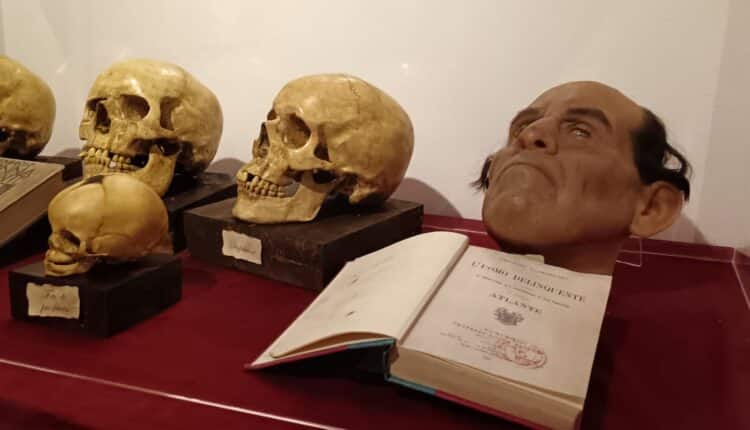 Museo Criminale di Torino: un viaggio immersivo nella mente dei serial killer tra storia, psicologia e realtà