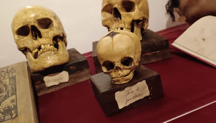 Museo Criminale di Torino: un viaggio immersivo nella mente dei serial killer tra storia, psicologia e realtà