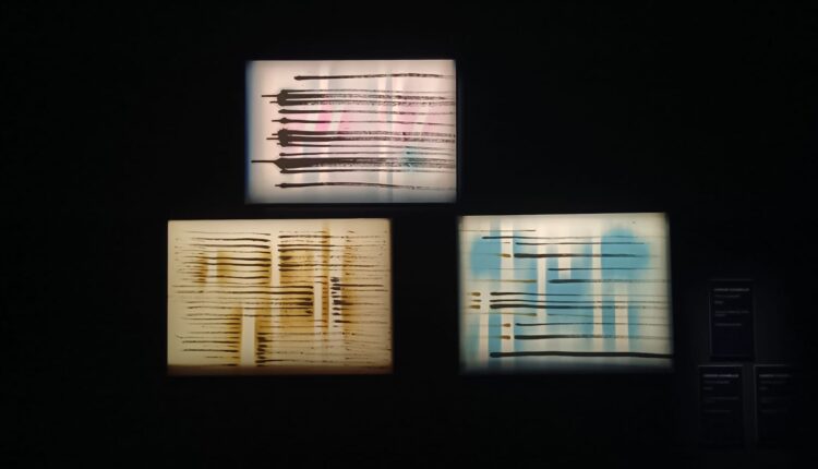 Torino, la nuova mostra sullo Spazialismo illumina la Fondazione Accorsi-Ometto: un viaggio da Fontana a Crippa nel cuore dell’arte del Novecento