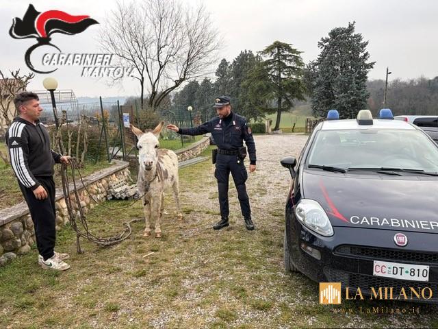 Sermide e Felonica Po: diffamazione sui social, denunciato un 61enne.