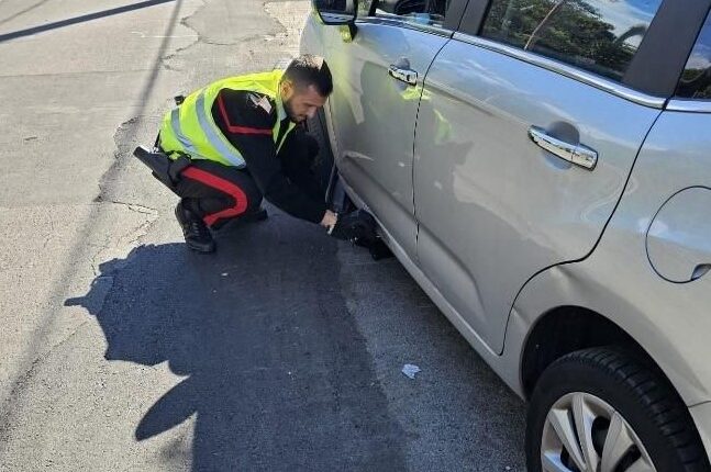 Furti, salvataggi e controlli: 4 interventi dei Carabinieri nel Catanese tra sicurezza, prevenzione e tutela del territorio