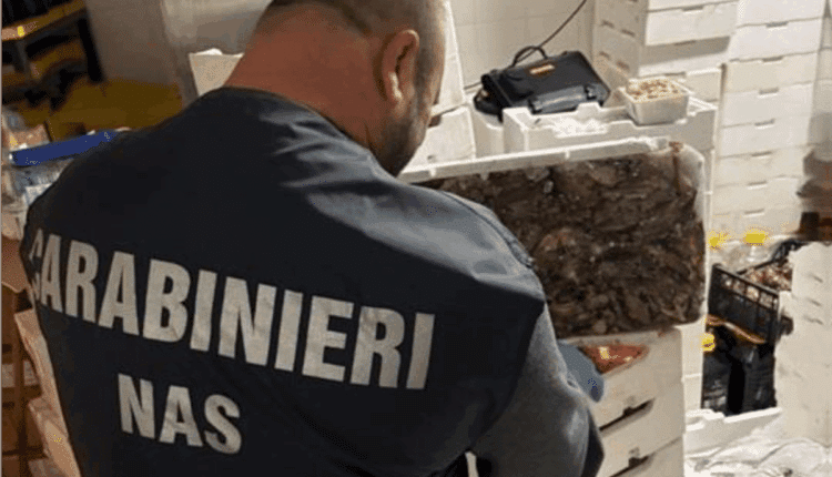 Controlli dei Carabinieri NAS a Campobasso: sequestrati 49 quintali di alimenti non conformi e chiuse 4 attività