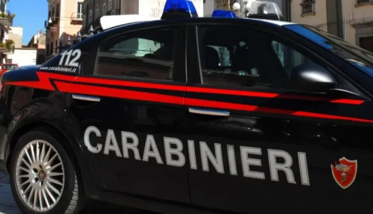 Carabinieri scoprono piazza di spaccio nel bosco a Vada