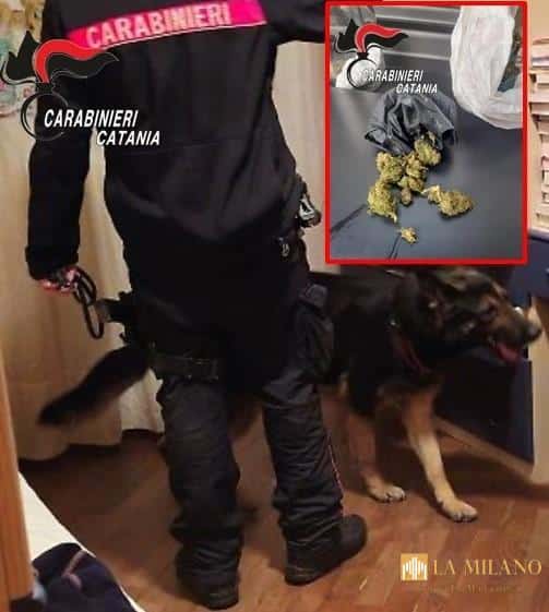 Droga tra Biancavilla e Catania: 19enne denunciato dopo la perquisizione in casa, arrestato un pusher delle consegne a domicilio.