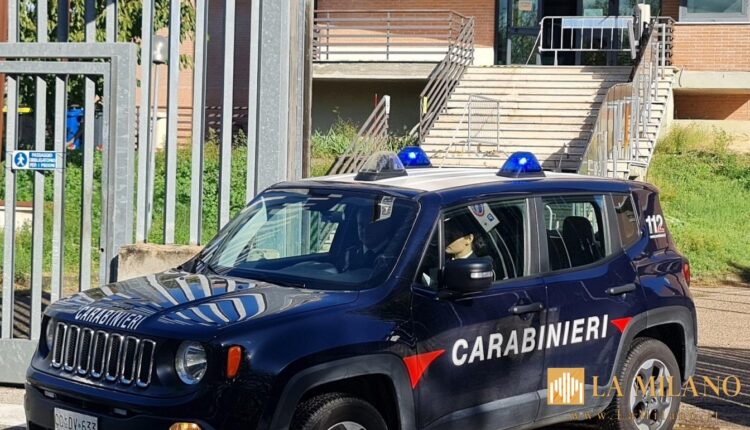 Bertinoro, aggrediscono e minacciano i carabinieri durante un controllo: arrestati due fratelli