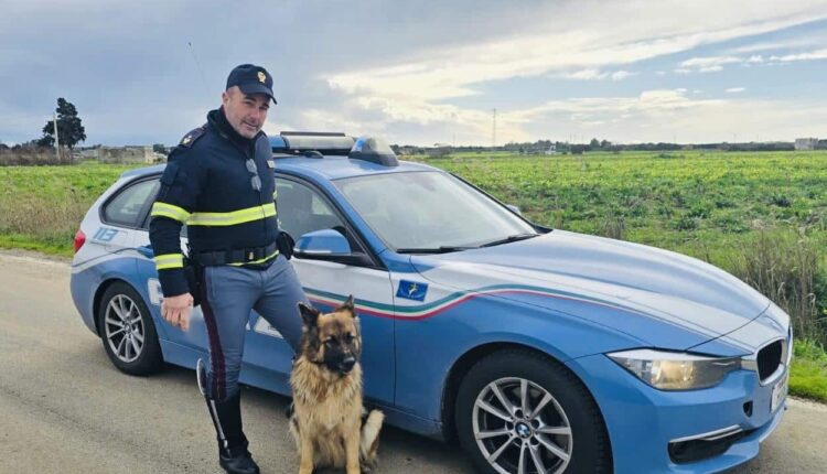 Polizia di Stato salva cane sulla statale 379 a Brindisi
