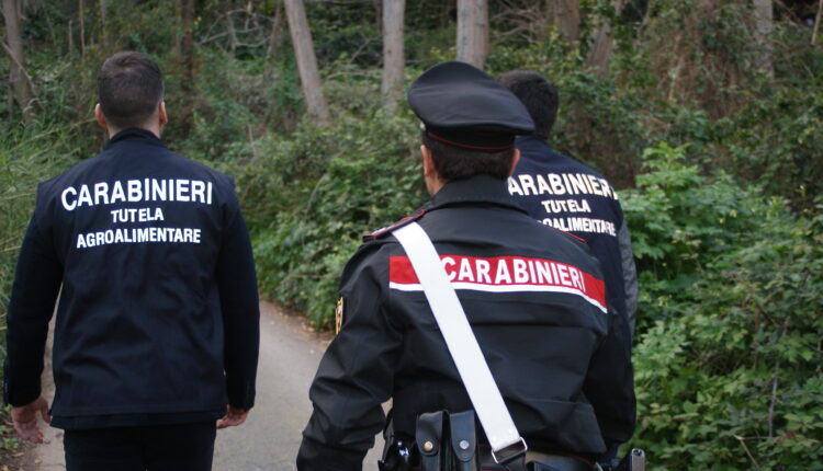 Carabinieri della Tutela Agroalimentare impegnati in controlli su pascolamento e fondi agricoli in Sicilia