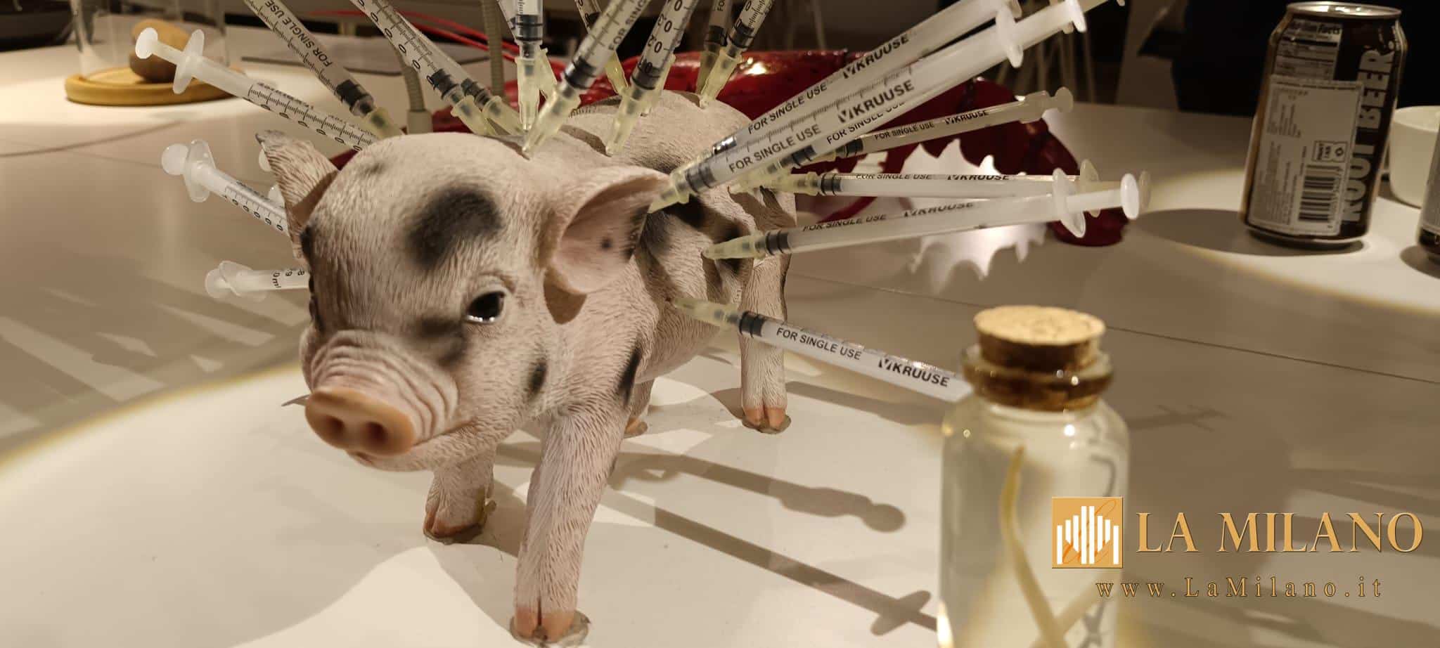 Disgusting Food Museum di Malmö: quando il disgusto diventa Cultura