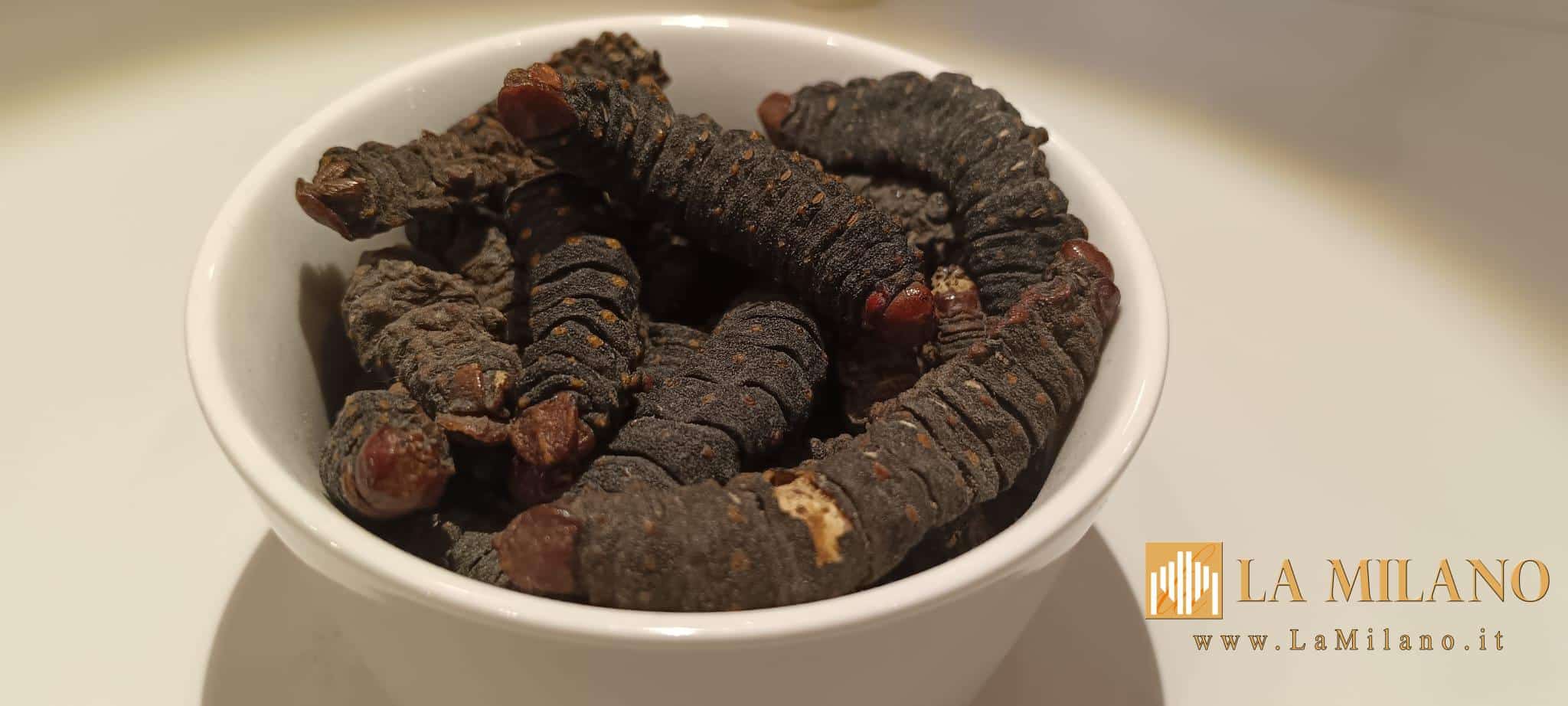 Disgusting Food Museum di Malmö: quando il disgusto diventa Cultura