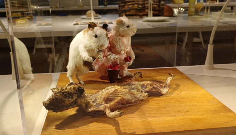 Disgusting Food Museum di Malmö: quando il disgusto diventa Cultura